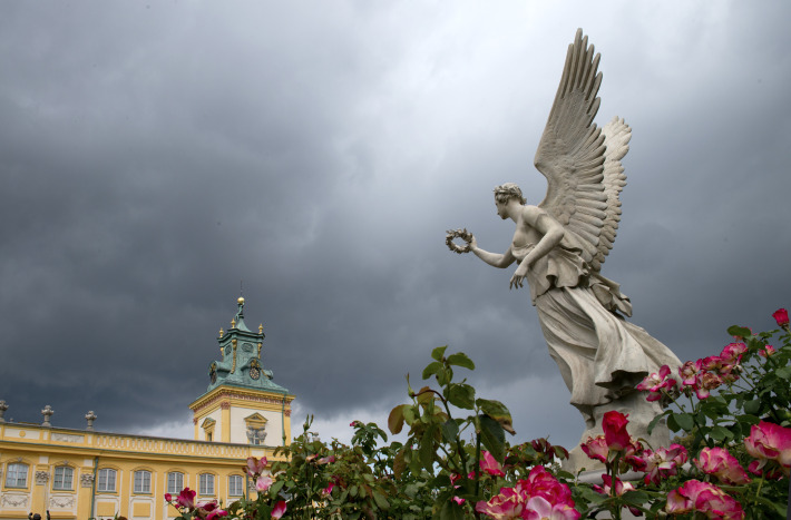 Widok z perpektywy żabiej na krzewy różane, fragment pałacu oraz pomnik kobiety ze skrzydłami.