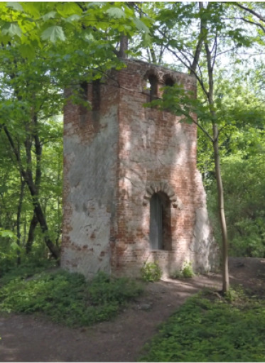 Rezerwat przyrody Morysin. Widok na las i ruiny rotundy pałacyku z 1811 roku projektu Stanisława Kostki Potockiego i Christiana P. Aignera, pozostałości domku dozorcy autorstwa Franciszka Marii Lanciego. 