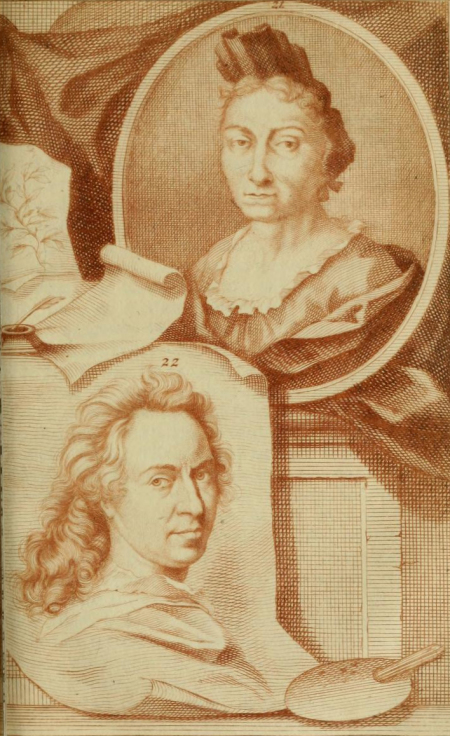 Rycina z portretem kobiety Marii Sibylli Merian w owalnej ramie i portretem męskim narysowanym na kartce, który znajduje się poniżej. Portret kobiecy zawieszony na draperii. 